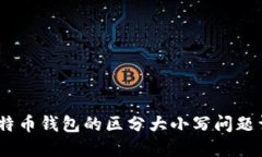 :比特币钱包的区分大小写问题详解