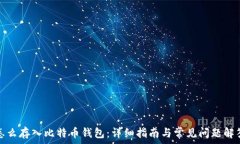   怎么存入比特币钱包：详细指南与常