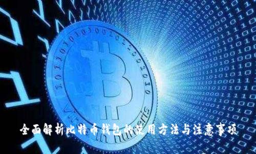 全面解析比特币钱包的使用方法与注意事项