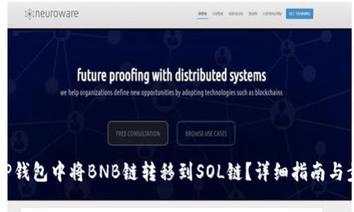 如何在TP钱包中将BNB链转移到SOL链?详细指南与步骤解析