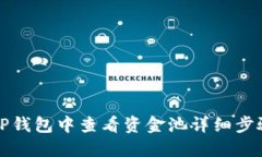 如何在TP钱包中查看资金池详细步骤及技巧