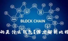 比特币最开始使用的是什么钱包？深度