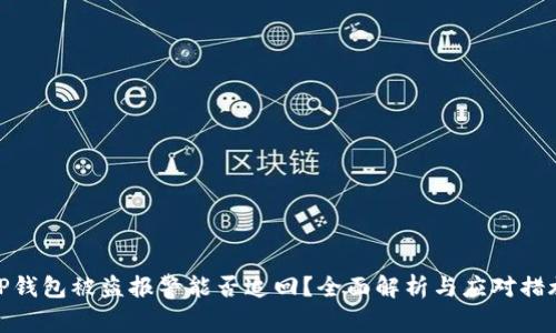 TP钱包被盗报警能否追回?全面解析与应对措施