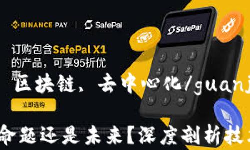 
Web3, 伪命题, 区块链, 去中心化/guanjianci

Web3到底是伪命题还是未来？深度剖析技术与理念的交锋