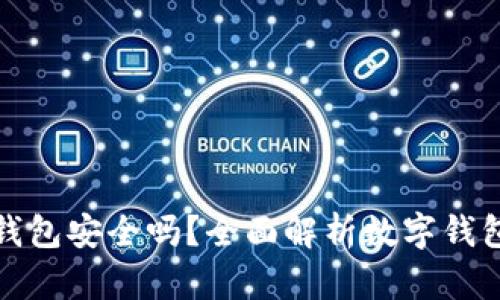 比特币放在数字钱包安全吗？全面解析数字钱包的安全性与风险