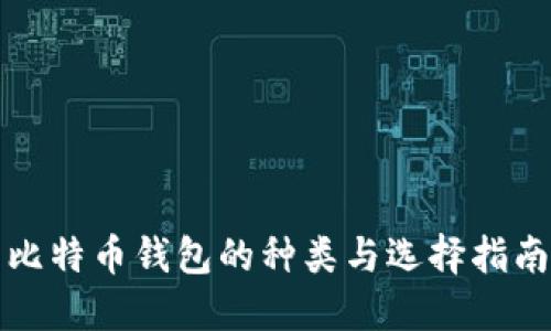 比特币钱包的种类与选择指南