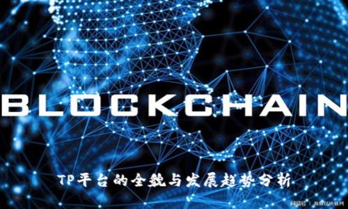 TP平台的全貌与发展趋势分析