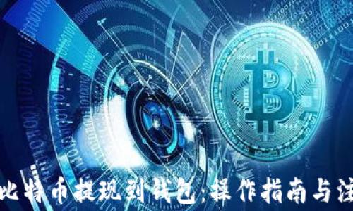 
如何将比特币提现到钱包：操作指南与注意事项