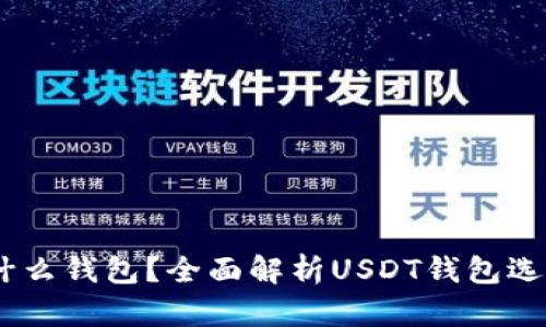 USDT一般装什么钱包？全面解析USDT钱包选择与使用指南