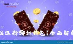 买了比特币该选择哪种钱包？全面解析及最佳实