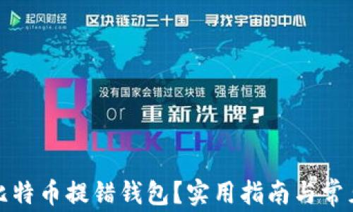 
如何避免比特币提错钱包？实用指南与常见问题解答