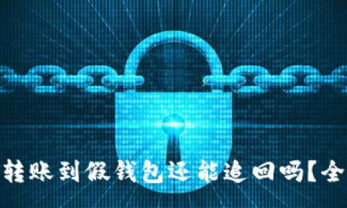 :
USDT转账到假钱包还能追回吗？全解析！