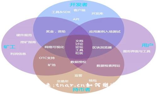 探索Web3的未来：tnar.cn如何塑造去中心化世界