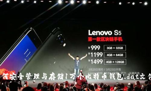如何安全管理与存储1万个比特币钱包.dat文件？