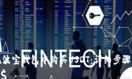 如何在波宝钱包中购买USDT：详细步骤与技巧