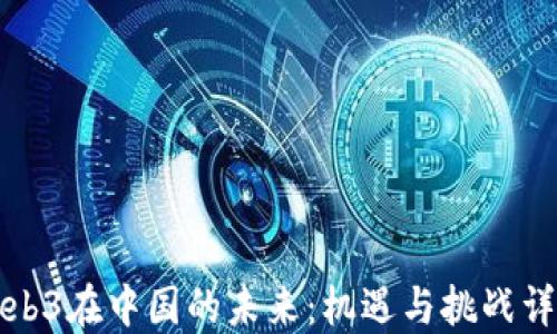 
Web3在中国的未来：机遇与挑战详解