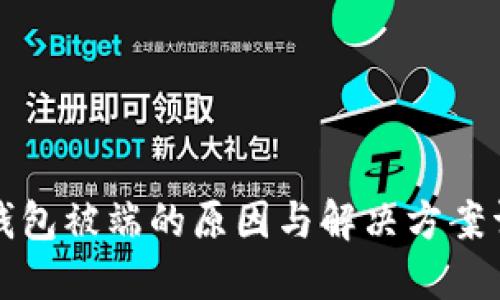 TP钱包被端的原因与解决方案详解
