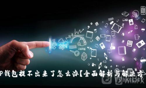 TP钱包提不出来了怎么办?全面解析与解决方案