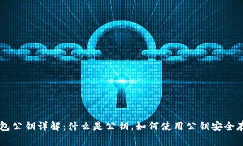 比特币钱包公钥详解：什么是公钥，如何使用公钥安全存储比特币