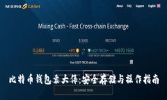 比特币钱包袁大伟：安全存储与操作指南