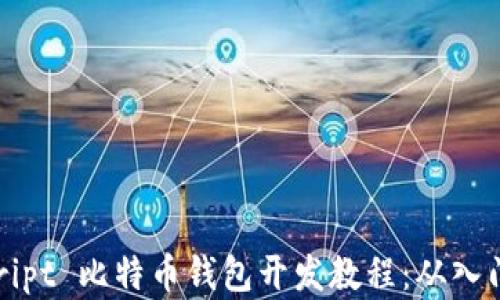 
JavaScript 比特币钱包开发教程：从入门到实践