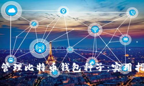 如何安全管理比特币钱包种子：实用指南与技巧