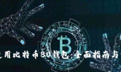 如何安全地使用比特币BU钱包：全面指