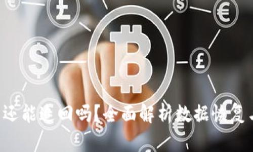 被盗的U盘还能追回吗？全面解析数据恢复与安全防护