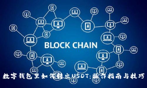 数字钱包里如何转出USDT：操作指南与技巧