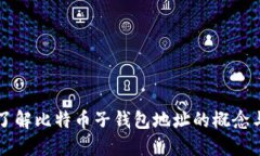 深入了解比特币子钱包地址的概念与应