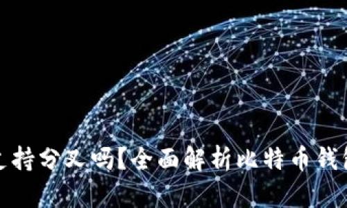 比特币钱包支持分叉吗？全面解析比特币钱包的分叉特性