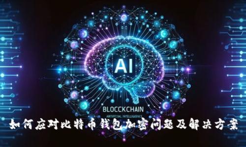 如何应对比特币钱包加密问题及解决方案