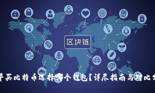 最早买比特币选择哪个钱包？详尽指南与对比分析