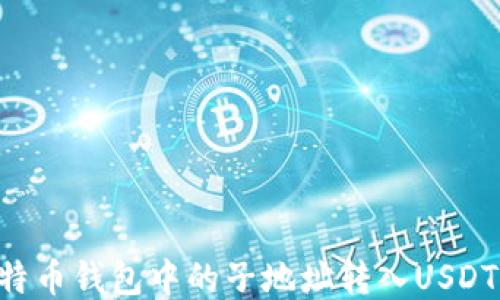 
如何将比特币钱包中的子地址转入USDT：全面指南