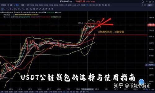 USDT公链钱包的选择与使用指南