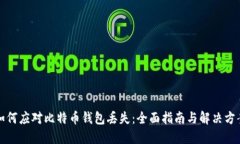如何应对比特币钱包丢失：全面指南与解决方案
