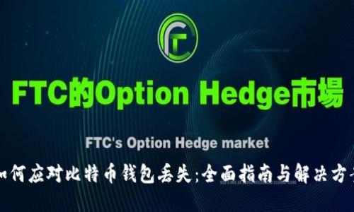 如何应对比特币钱包丢失：全面指南与解决方案