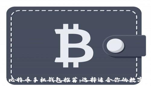 2023 年最佳比特币手机钱包推荐：选择适合你的数字货币存储工具