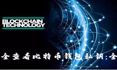 如何安全查看比特币钱包私钥：全面指南