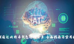如何通过比特币钱包进行交易：全面指南与实用