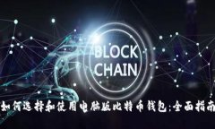 如何选择和使用电脑版比特币钱包：全面指南