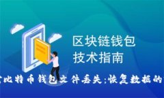 如何应对比特币钱包文件丢失：恢复数据的完整