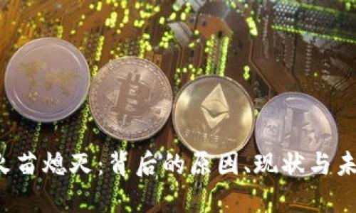 Web3火苗熄灭：背后的原因、现状与未来展望