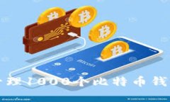 如何选择和管理1000个比特币钱包的最佳实践