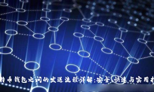 比特币钱包之间的发送流程详解：安全、快速与实用指南