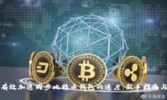 如何有效加速同步比特币钱包的速度：新手指南