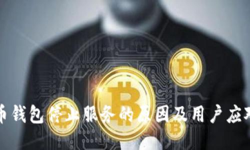 比特币钱包停止服务的原因及用户应对策略