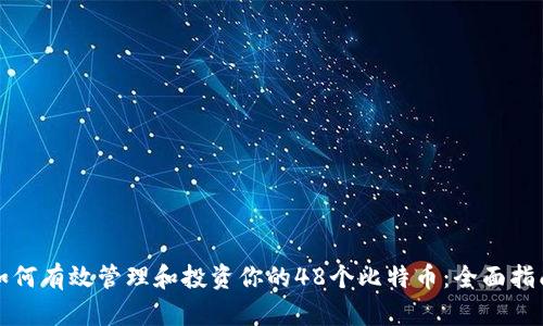 如何有效管理和投资你的48个比特币：全面指南