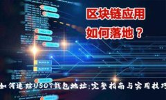 如何追踪USDT钱包地址：完整指南与实用技巧
