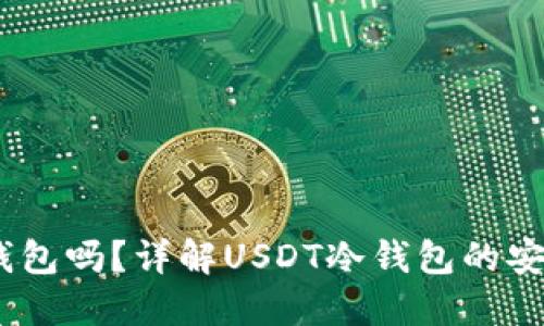 USDT可以放冷钱包吗？详解USDT冷钱包的安全性和使用方法